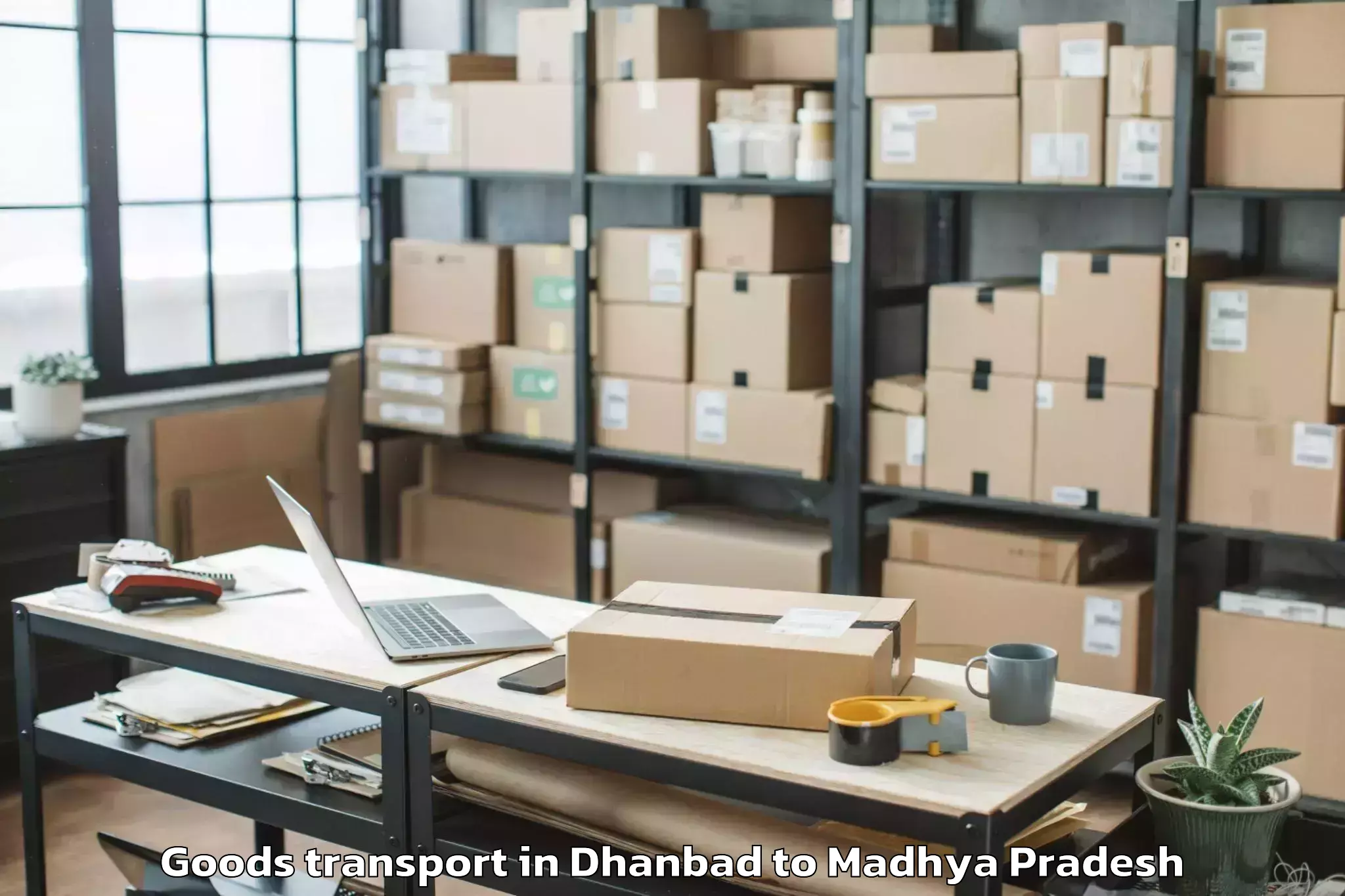 Professional Dhanbad to Iit Indore Goods Transport